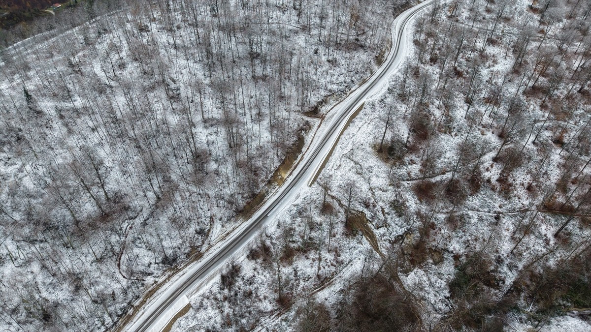 Sinop'un Türkeli ilçesinde etkili olan kar yağışının ardından ormanlık alanlar dronla...
