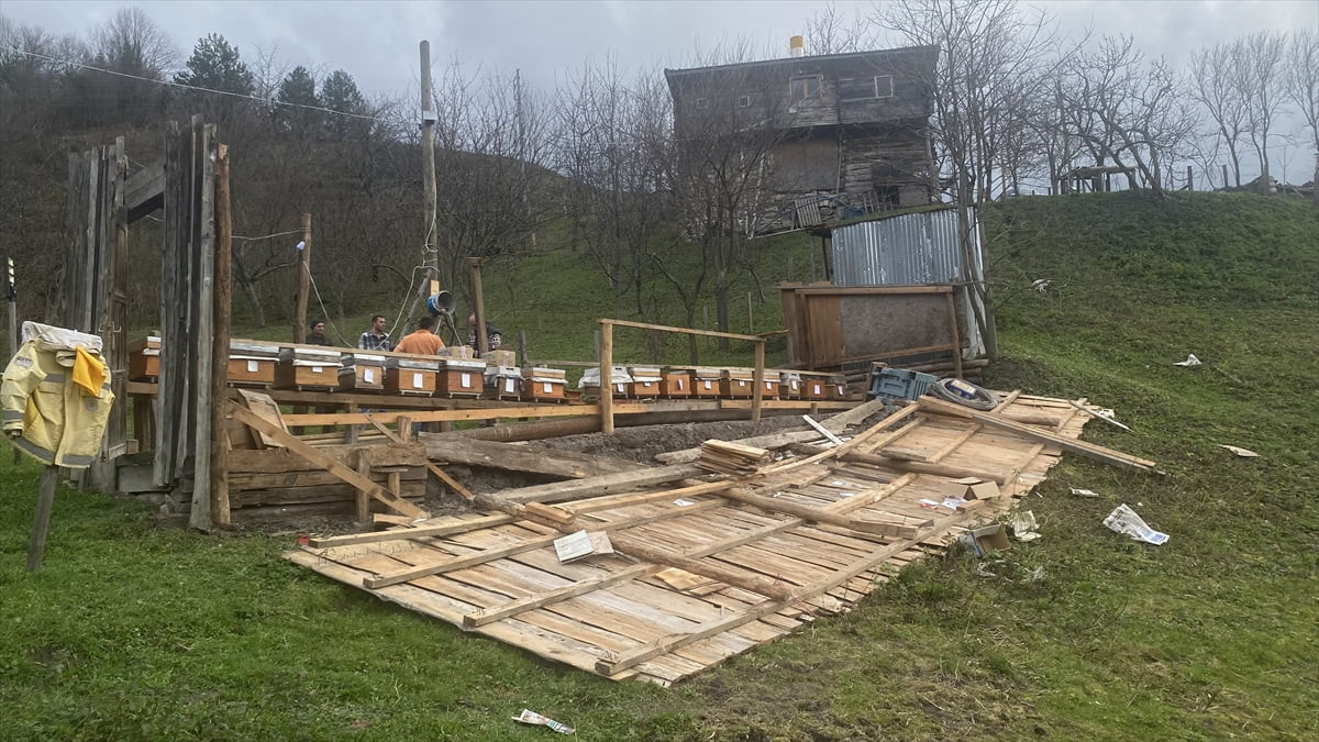 Sinop'un Türkeli ilçesinde etkili olan kuvvetli rüzgar, hayatı olumsuz etkiledi. Rüzgar nedeniyle...