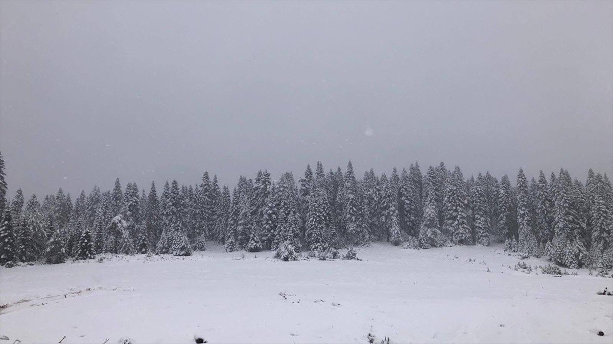 Sinop'un Türkeli ilçesinde yüksek kesimlerde kar yağışı etkili oldu. Kar yağışıyla 1856 metre...