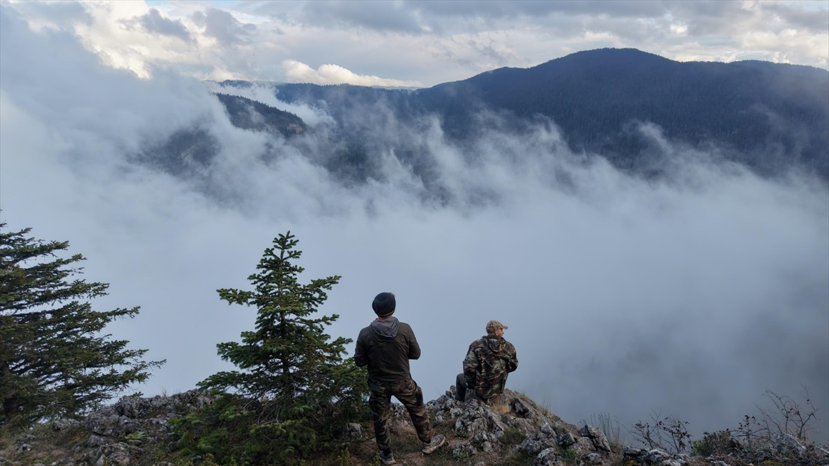 Sinop'un Türkeli ilçesindeki birçok farklı türde bitki örtüsüne sahip Çatak Kanyonu Tabiat Parkı...
