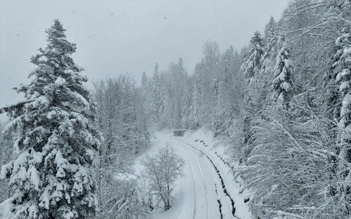 Sinop'un yüksek kesimlerinde kar etkili oluyor. Kentte sabah etkisini artıran kar nedeniyle...