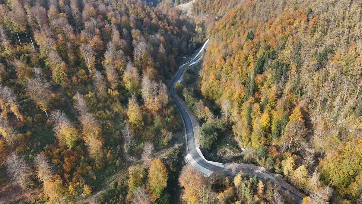 Sinop’un Türkeli ilçesinde ormanlık alanlar, sonbaharın gelişiyle sarı, turuncu ve kırmızının...