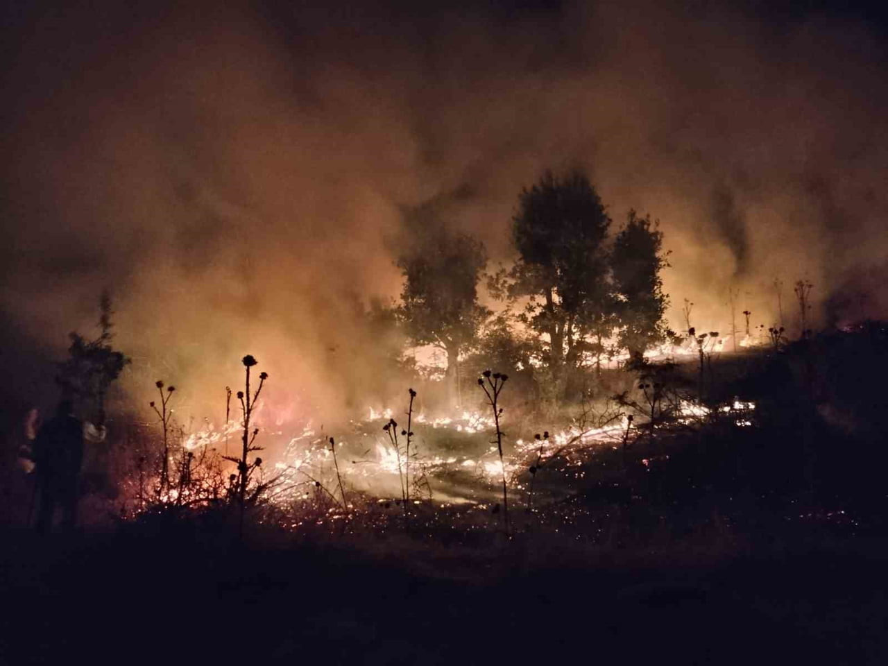 ŞIRNAK'IN BESTLER DERELER BÖLGESİNDE 120 DÖNÜM EKİLİ BUĞDAY TARLASI, ÇIKAN YANGINDA KÜL...