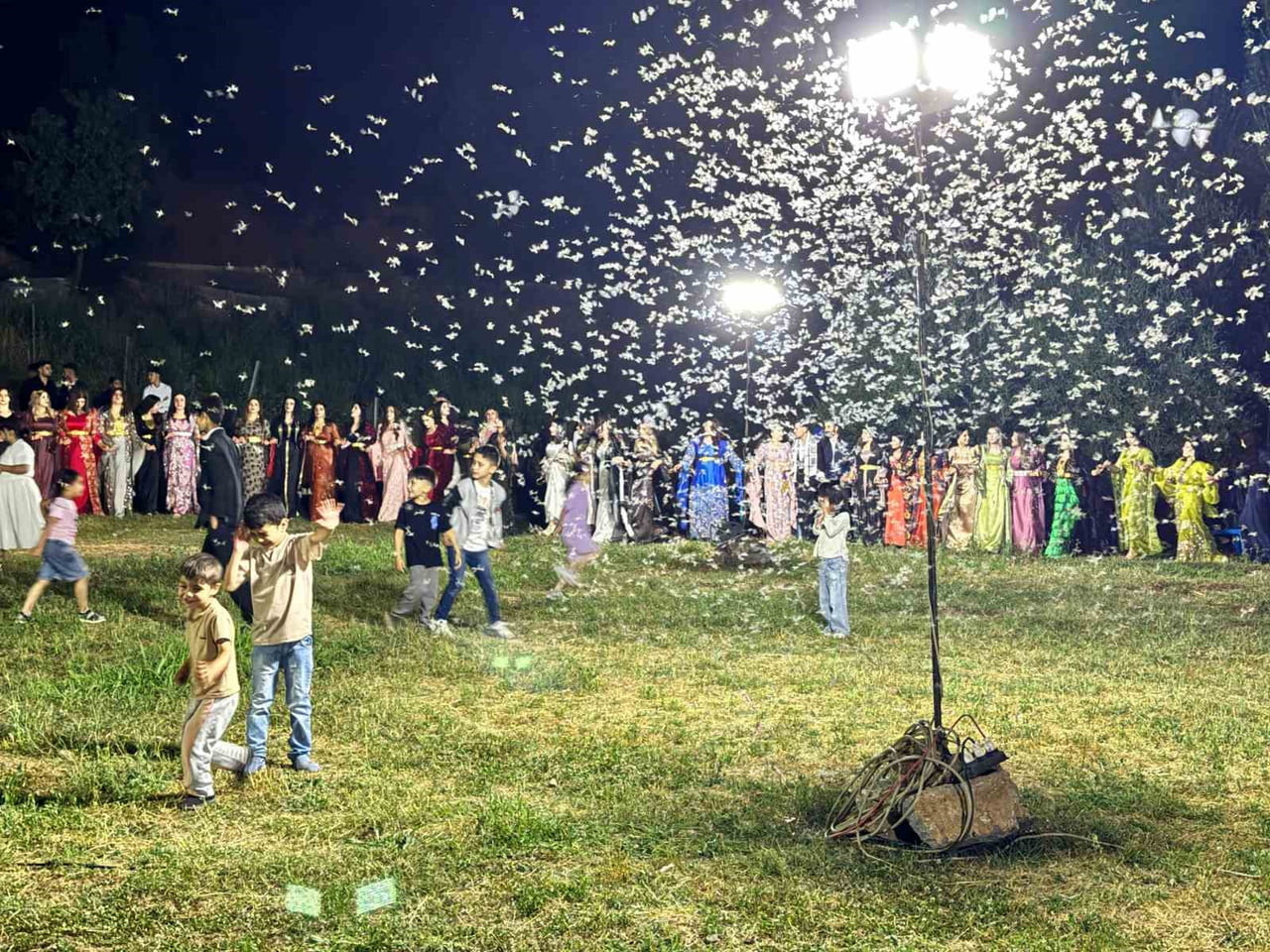 ŞIRNAK’TA BİR DÜĞÜNDE KINA GECE YAPILMAK İSTENDİ ANCAK KELEBEKLER İZİN VERMEDİ. DÜĞÜN ALANI...