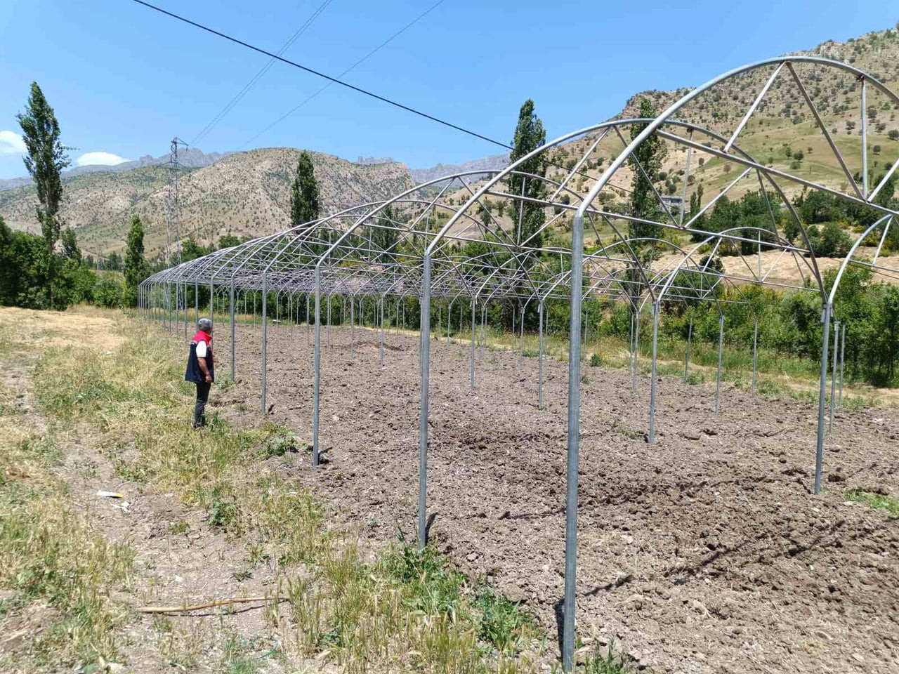 ŞIRNAK’TA TARIMSAL ÜRETİMİ ARTIRMAK VE İSTİHDAM SAĞLAMAK AMACIYLA HAYATA GEÇİRİLEN SERA PROJELERİ...
