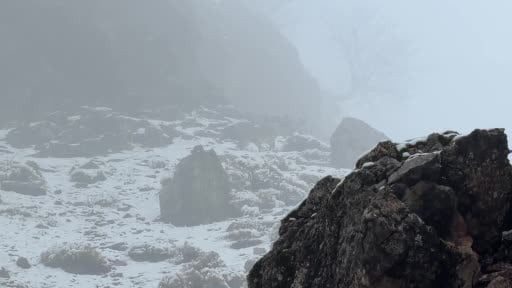 Sisli havada dağ keçileri kartpostallık görüntüler oluşturdu