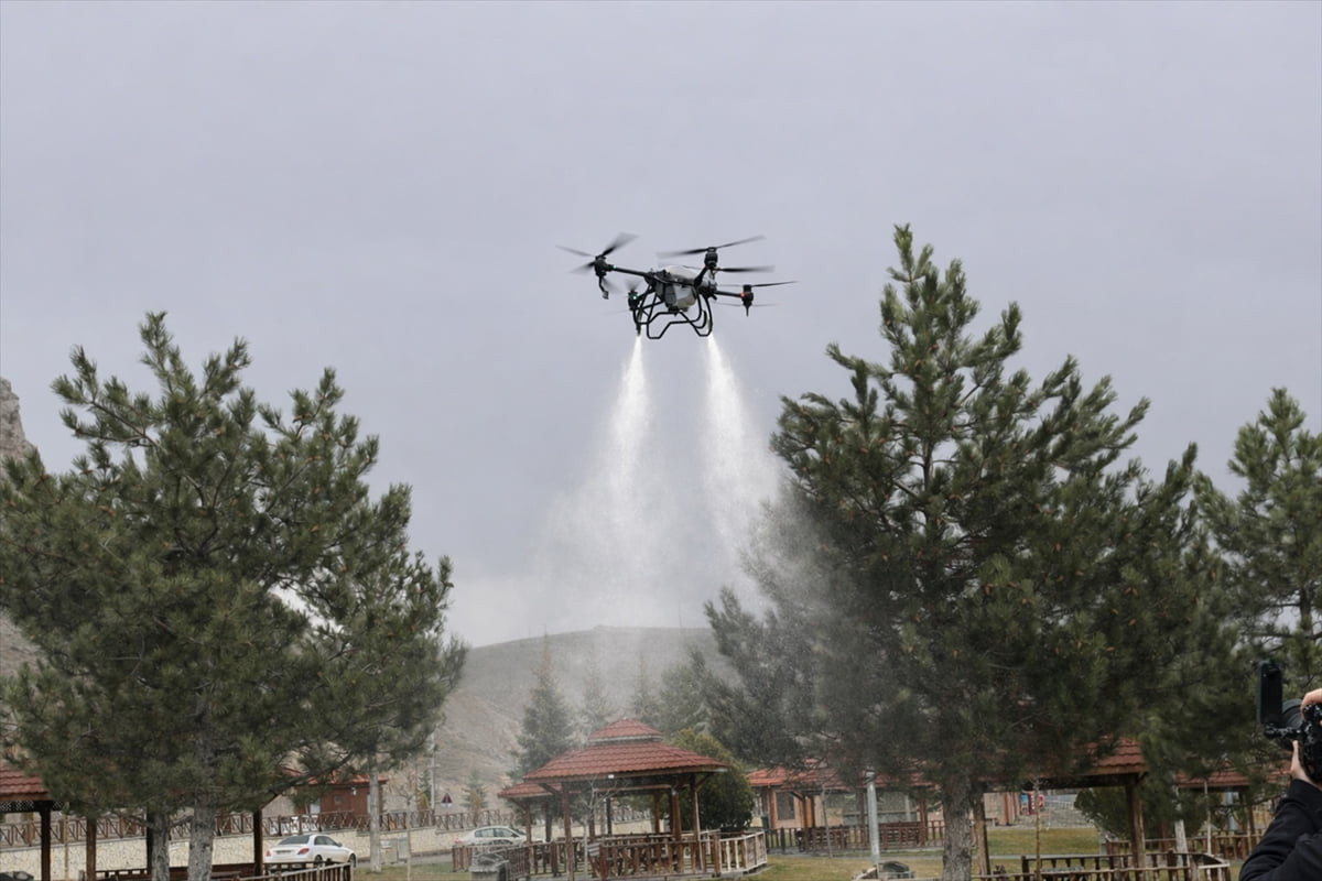 Sivas Belediyesi kenelere ve haşerelere karşı dron kullanarak ilaçlama çalışması yaptı.