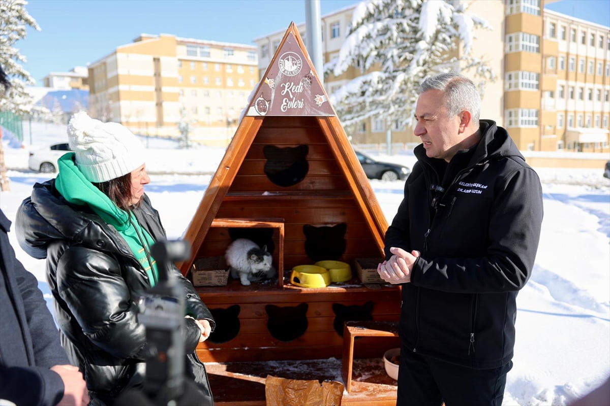 Sivas Belediyesi, kış aylarında hayvanların soğuktan daha az etkilenmesi amacıyla şehrin farklı...