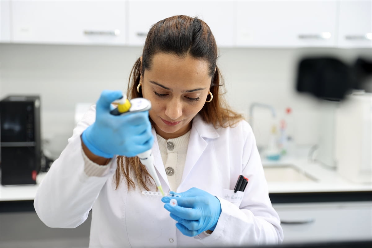 Sivas Bilim ve Teknoloji Üniversitesi, beslenme ve kanatlı sanayi ham maddesi olarak önemli bir...