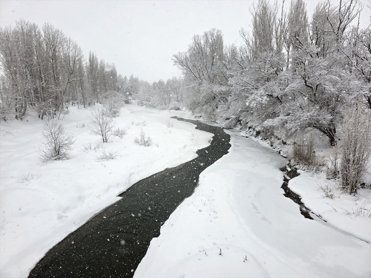 Sivas'ın Hafik ilçesinde yoğun kar yağışı ve dondurucu soğuklar yaşamı olumsuz etkiliyor. İlçeden...