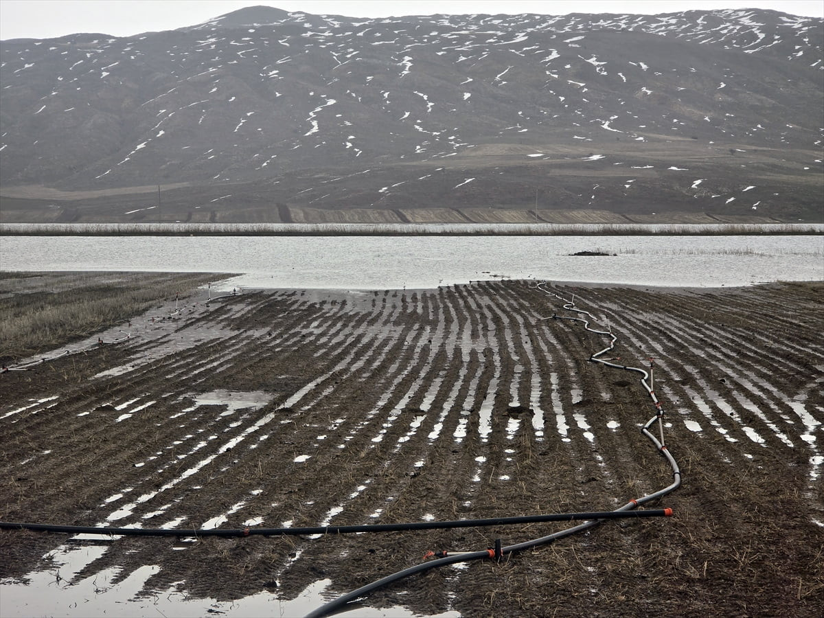 Sivas'ın Hafik ve Zara ilçeleri arasında yer alan yüzlerce dönüm tarım arazisi, karların erimesi...
