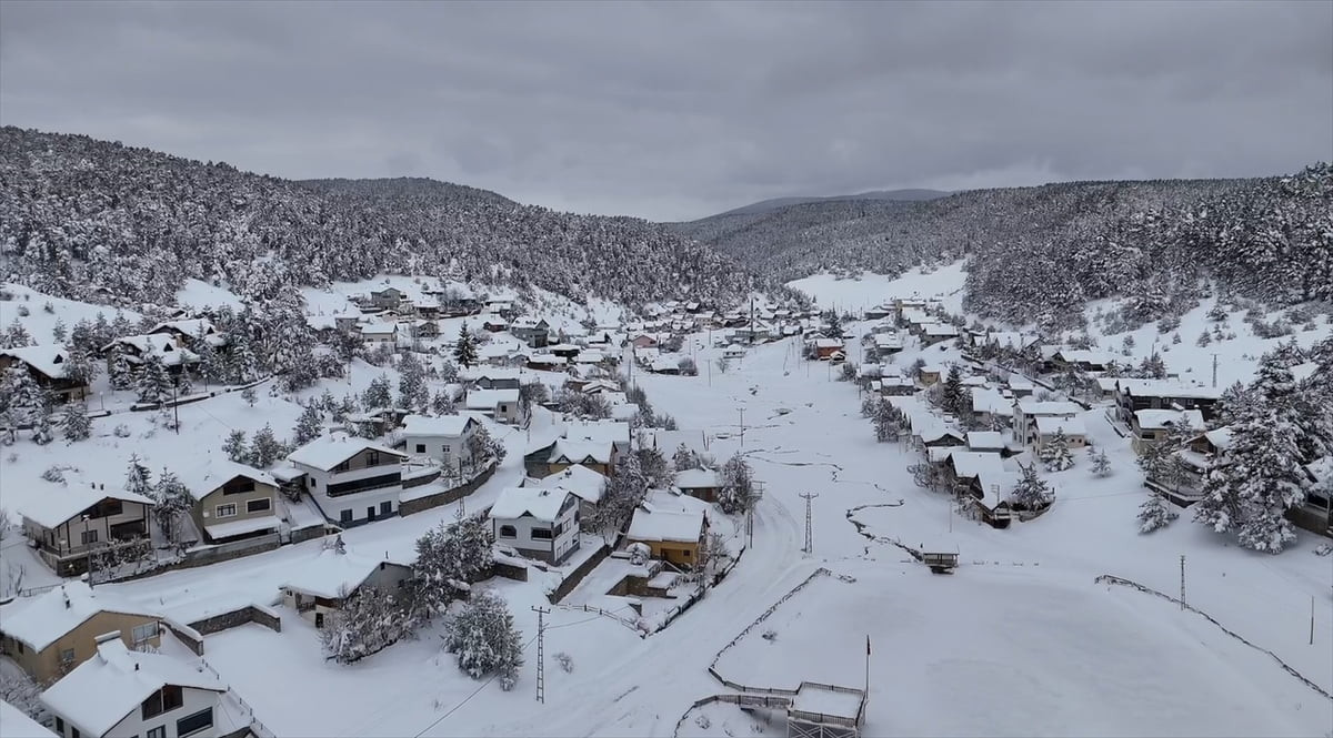 Sivas'ın Koyulhisar ilçesinde, çam ağaçlarıyla kaplı Eğriçimen Yaylası'nda kar kalınlığı yaklaşık...