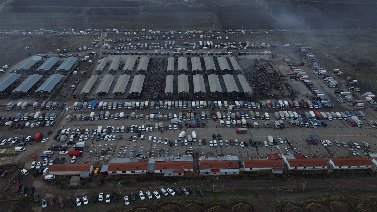 Sivas'ın Şarkışla ilçesinde şap hastalığı nedeniyle kapatılan canlı hayvan pazarı yeniden açıldı....