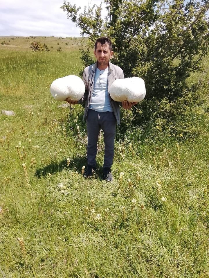 SİVAS'IN YILDIZELİ İLÇESİ SUBAŞI KÖYÜ MUHTARI FERHAT MERAN, DOĞADA YAPTIĞI GEZİ SIRASINDA YAKLAŞIK...