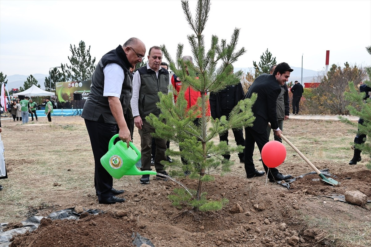 Sivas'ta, 11 Kasım Milli Ağaçlandırma Günü'nde fidanlar toprakla buluşturuldu. Sivas-Ankara kara...