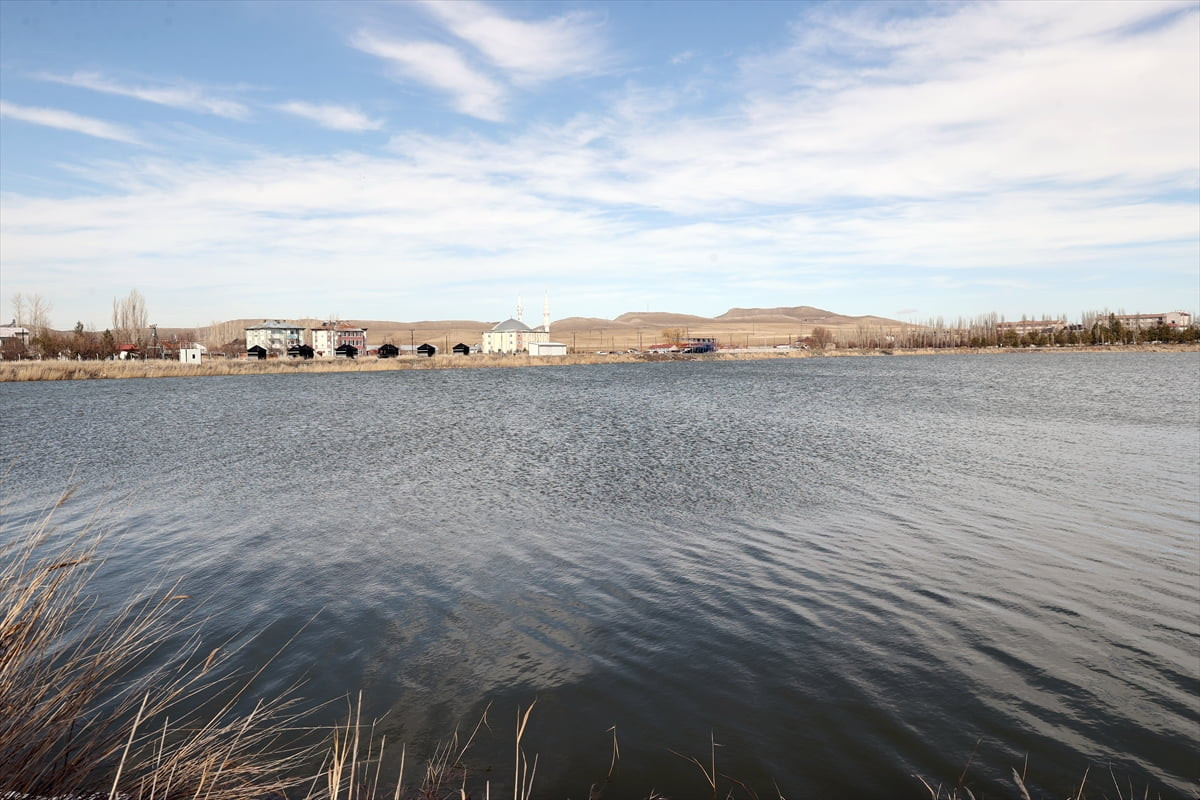 Sivas'ta 2016'da "Ulusal Öneme Haiz Sulak Alan" olarak tescil edilen ve yaz aylarında su...