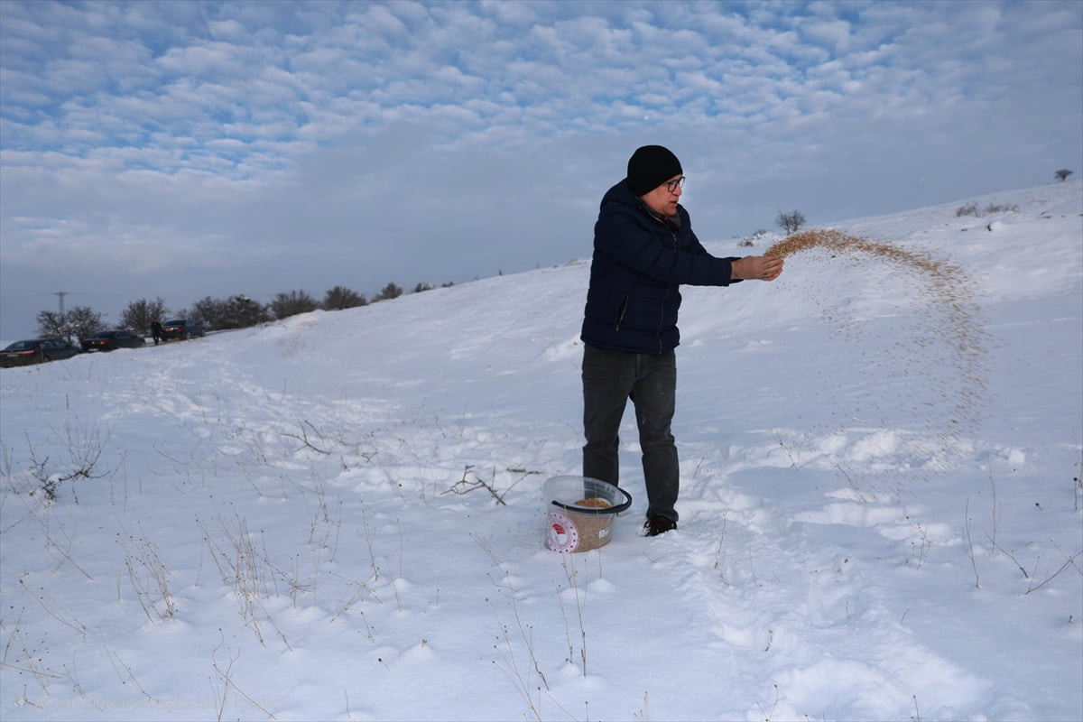 Sivas'ta etkili olan soğuk hava ve kar yağışının ardından yaban hayvanları için doğaya yem...