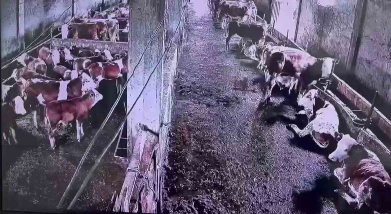 SİVAS’IN GÜRÜN İLÇESİNDE MEYDANA GELEN 2.9 BÜYÜKLÜĞÜNDEKİ DEPREM İNSANLAR TARAFINDAN...