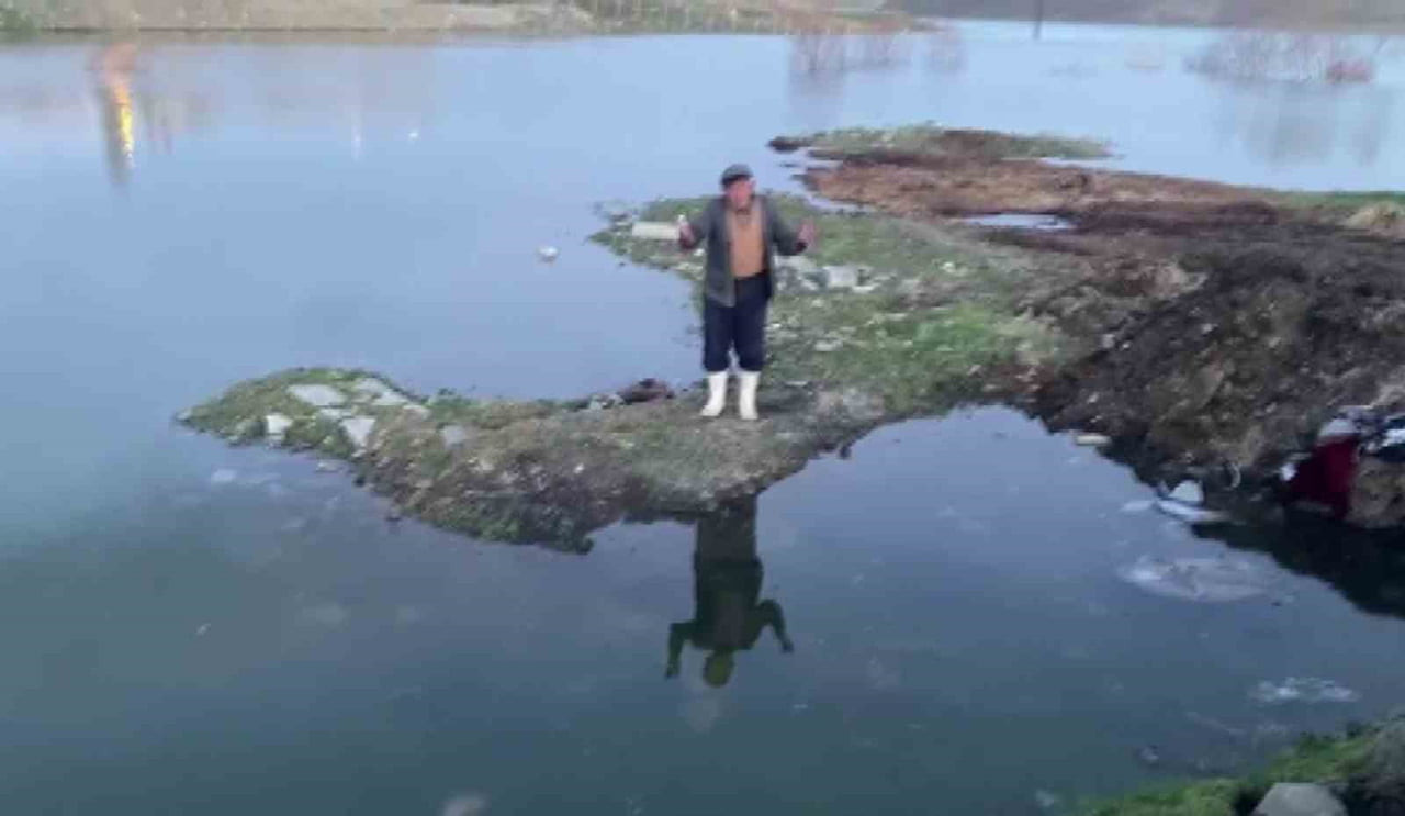 SİVAS’IN ULAŞ İLÇESİNDE BİR VATANDAŞA AİT BUZAĞI AHIRDAN KAÇARAK BARAJ GÖLÜNE DÜŞTÜ. OLAYDA BUZAĞI...