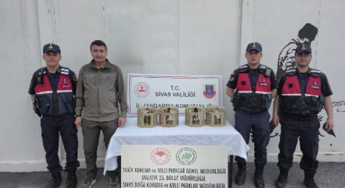 SİVAS’TA BİR KİŞİ TARAFINDAN USULSÜZ ŞEKİLDE ELE GEÇİRİLEN 4 KINALI KEKLİK DOĞAYA...