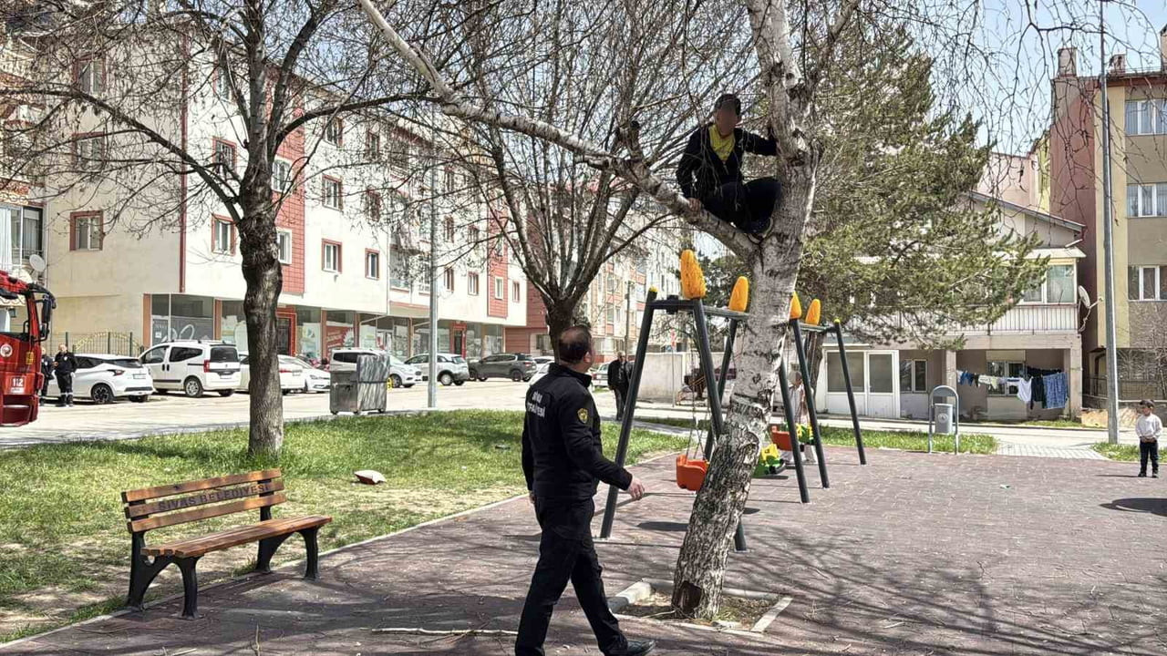 SİVAS’TA DALLARA TAKILAN TOPUNU ALMAK İÇİN AĞACA ÇIKAN ÇOCUK ÇIKTIĞI YERDEN İNEMEYİNCE YARDIMINI...