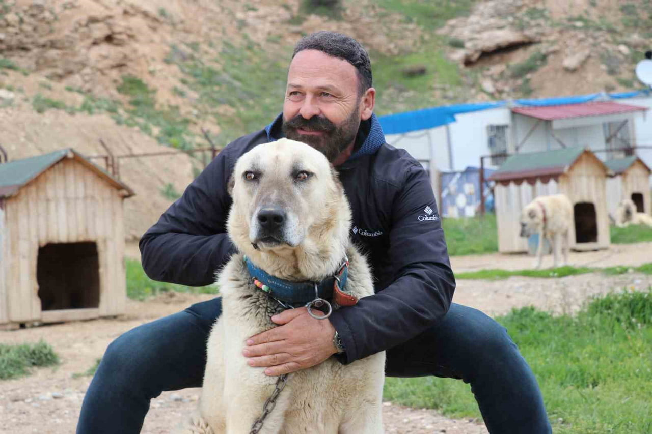 SİVAS’TA HAVA SICAKLIKLARININ BİR GÜN SICAK BİR GÜN SOĞUK SEYRETMESİ DÜNYACA ÜNLÜ KANGAL...
