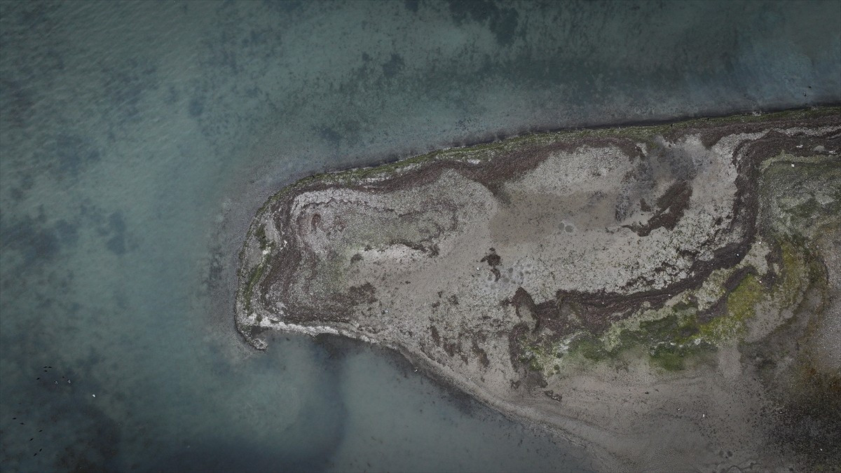 Son 65 yılın en kurak dönemini yaşayan Sapanca Gölü'nde su seviyesi kritik eşiği aşarak 28,54...