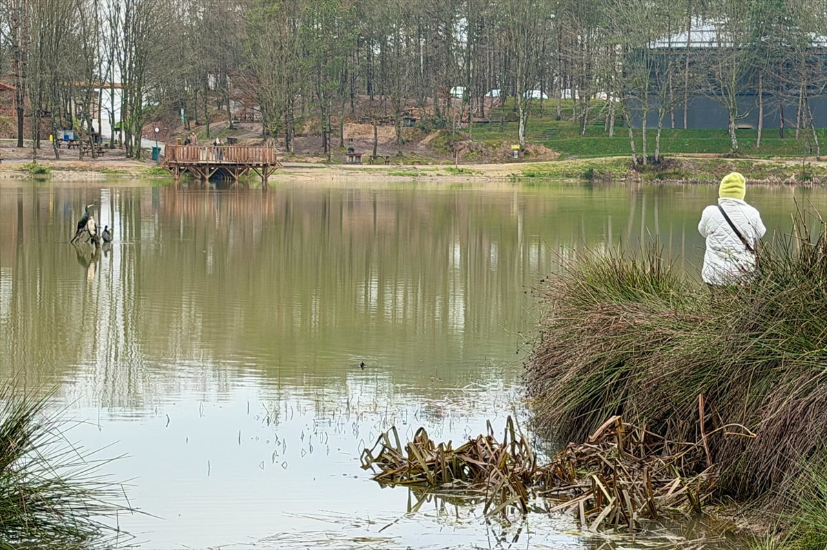 Son dönemlerde ulaşım ve çevre düzenlemesi yatırımları yapılan Düzce'deki Korugöl Tabiat Parkı...
