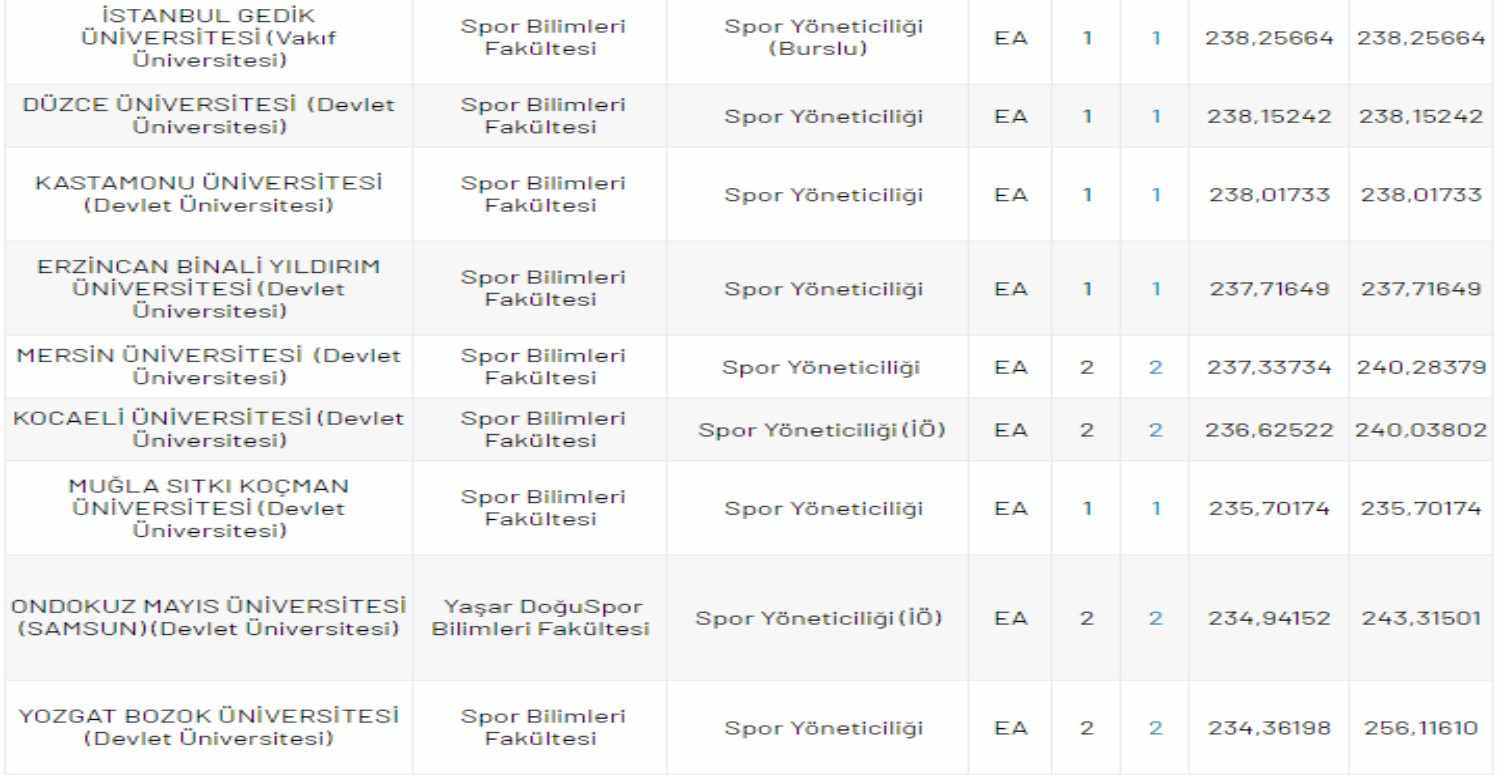 spor yöneticiliği
