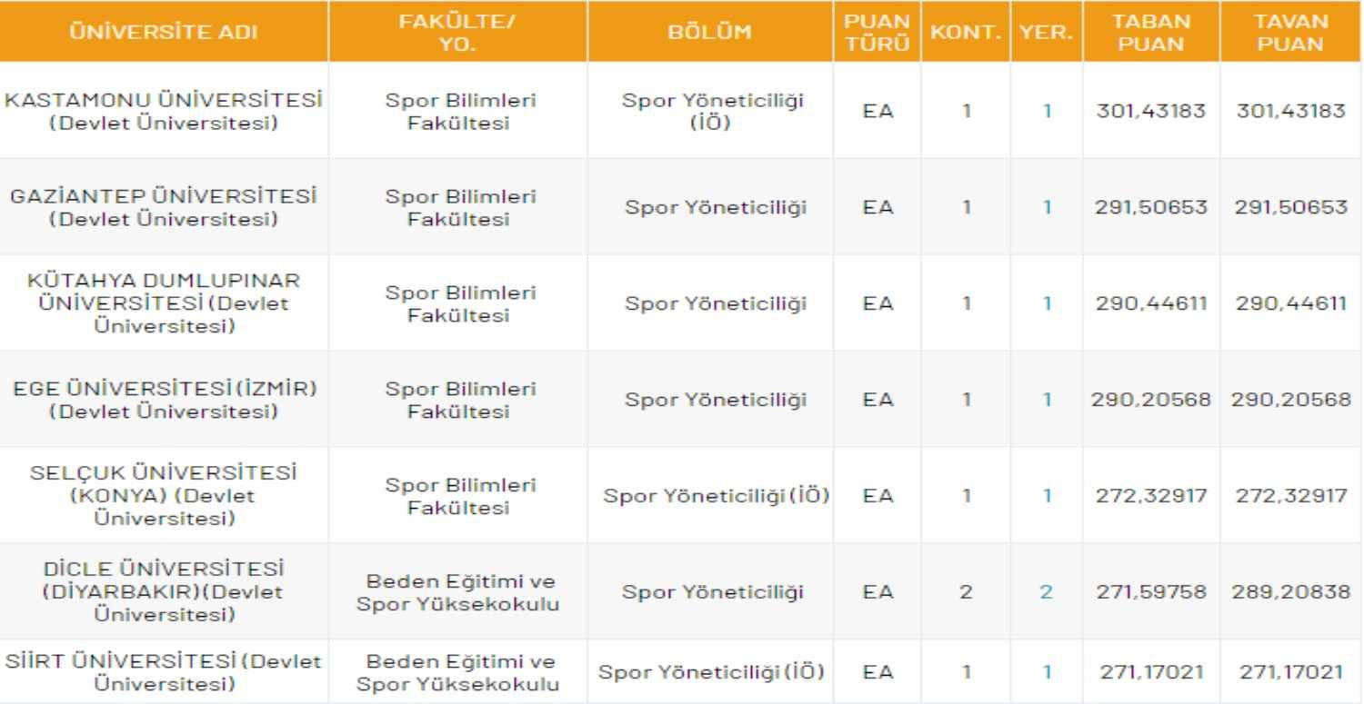 spor yöneticiliği