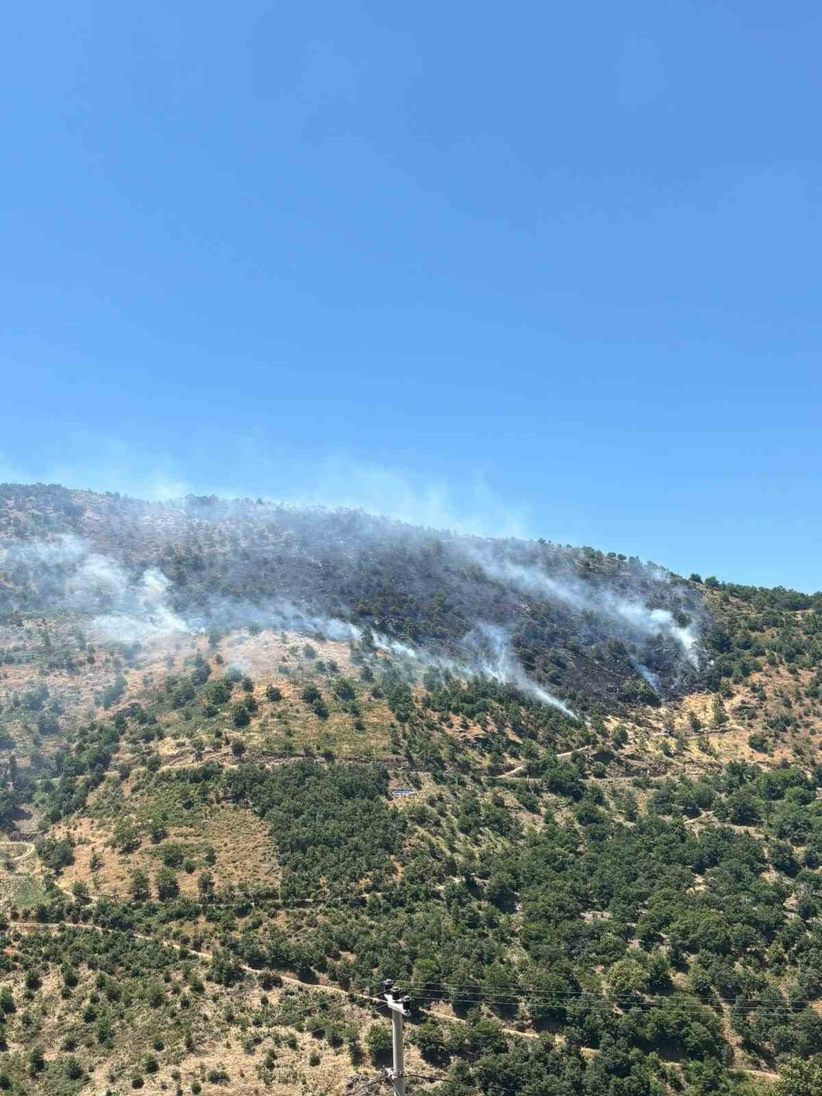SULTANHİSAR’DAKİ YANGINA HAVADAN VE KARADAN MÜDAHALE SÜRÜYOR