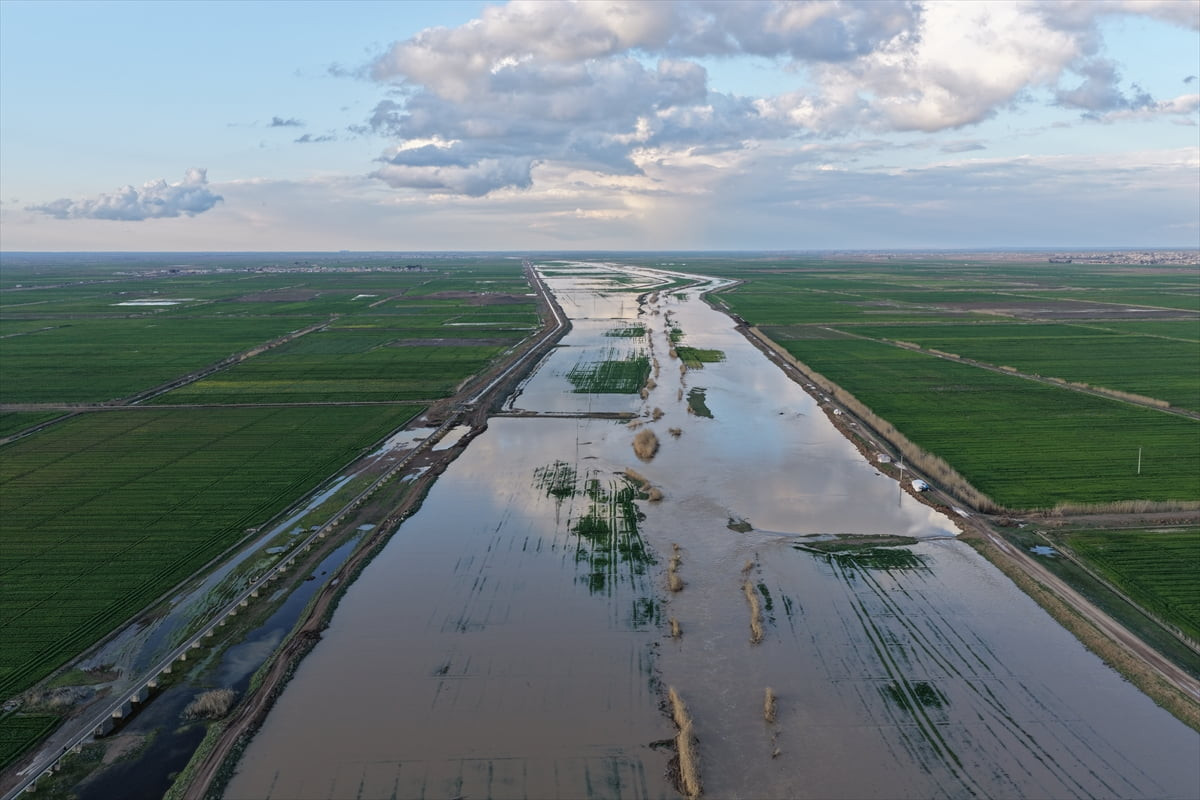 Suriye'de aşırı yağışlar sonrası Rakka vilayetindeki Balikh Nehri'nin taşmasıyla binlerce dönüm...