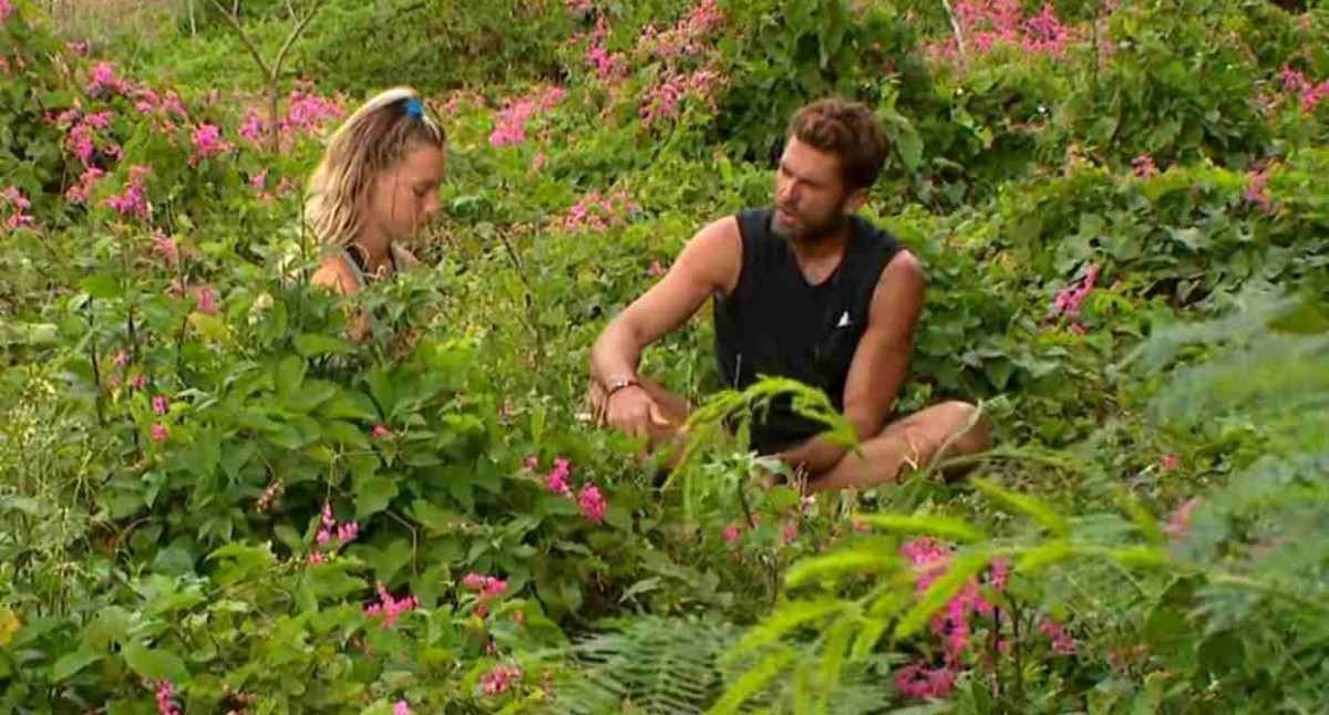 survivor mert ve sude