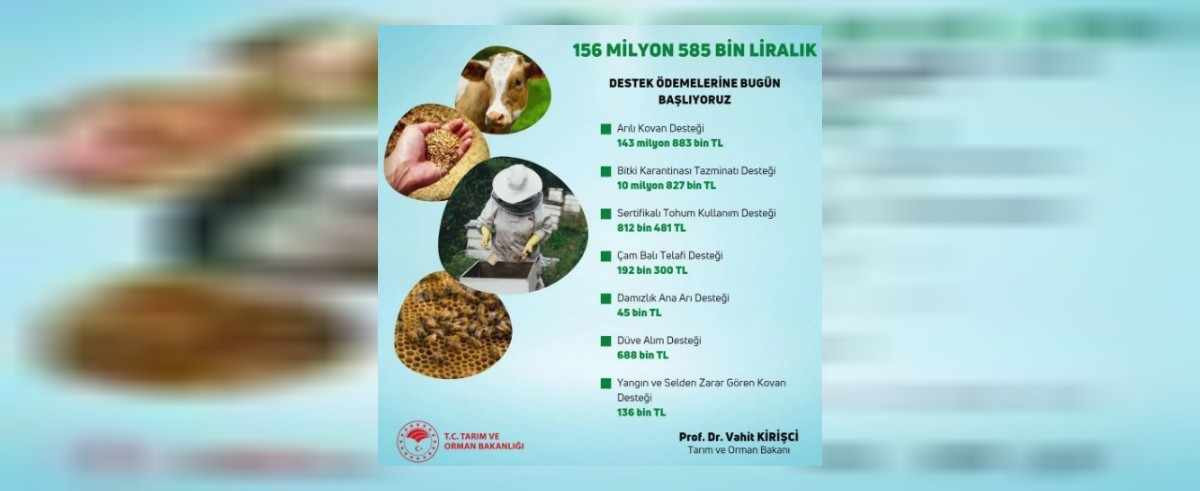 Tarım destek ödemeler