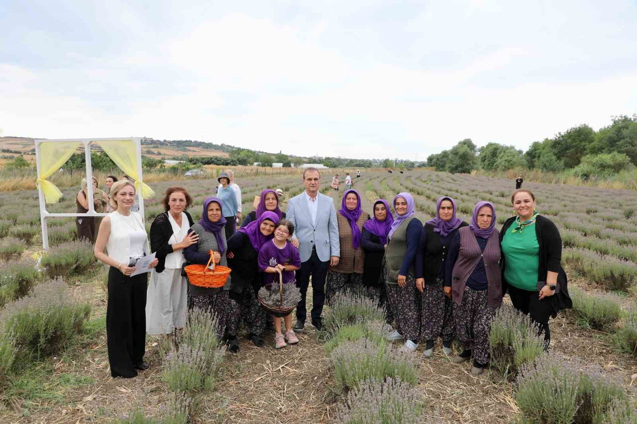 TARIM PROJELERİYLE ÜRETİME DESTEK VEREN BÜYÜKÇEKMECE BELEDİYESİ, GELENEKSEL LAVANTA HASAT...