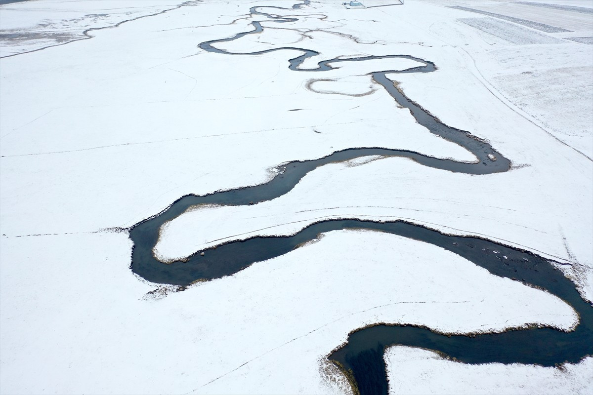 Tarım ve hayvancılığa can suyu olan Kars ile Ardahan'daki menderesler, kışın donmadığı için...