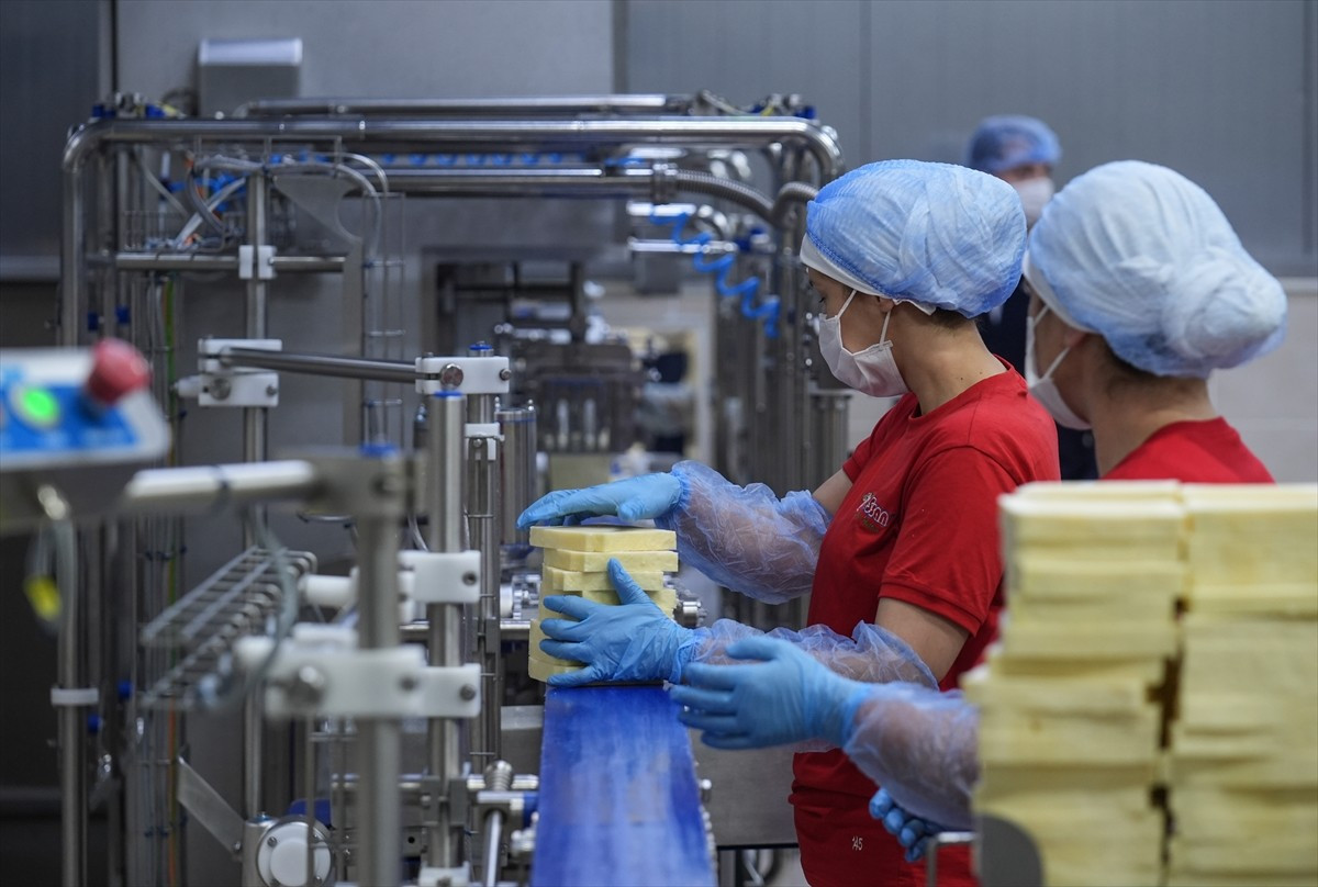 Tarım ve Kırsal Kalkınmayı Destekleme Kurumu (TKDK) tarafından sağlanan hibeler, İzmir'deki süt...