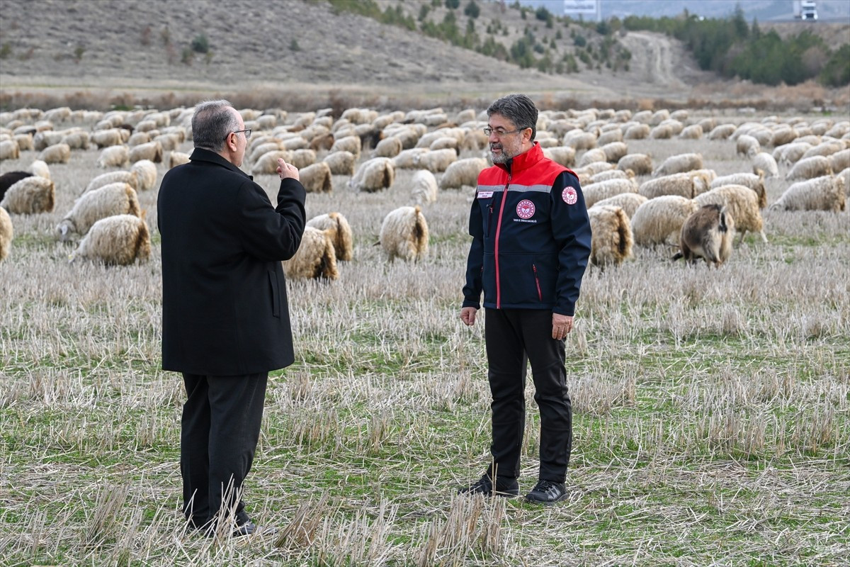 Tarım ve Orman Bakanı İbrahim Yumaklı, Ankara'nın Polatlı ilçesinde tiftik keçisi yetiştiricileri...