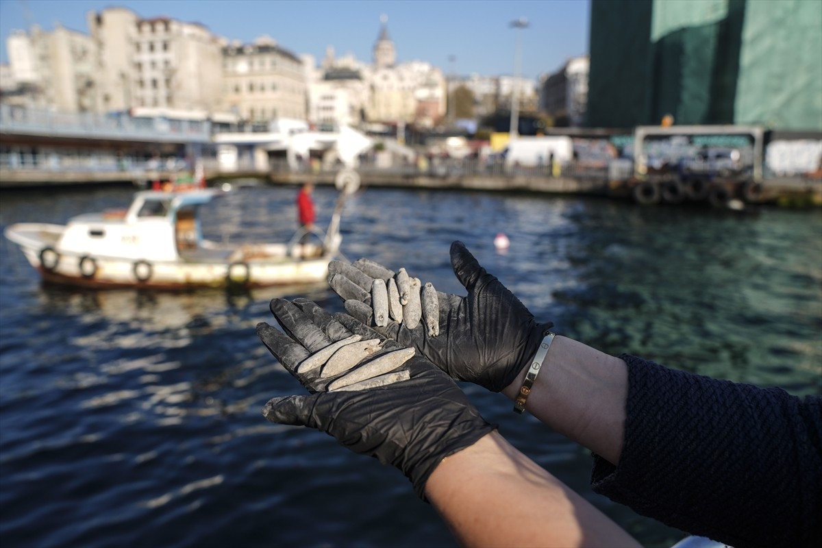 Tarım ve Orman Bakanlığı Balıkçılık ve Su Ürünleri Genel Müdürlüğü koordinasyonunda ve İstanbul İl...