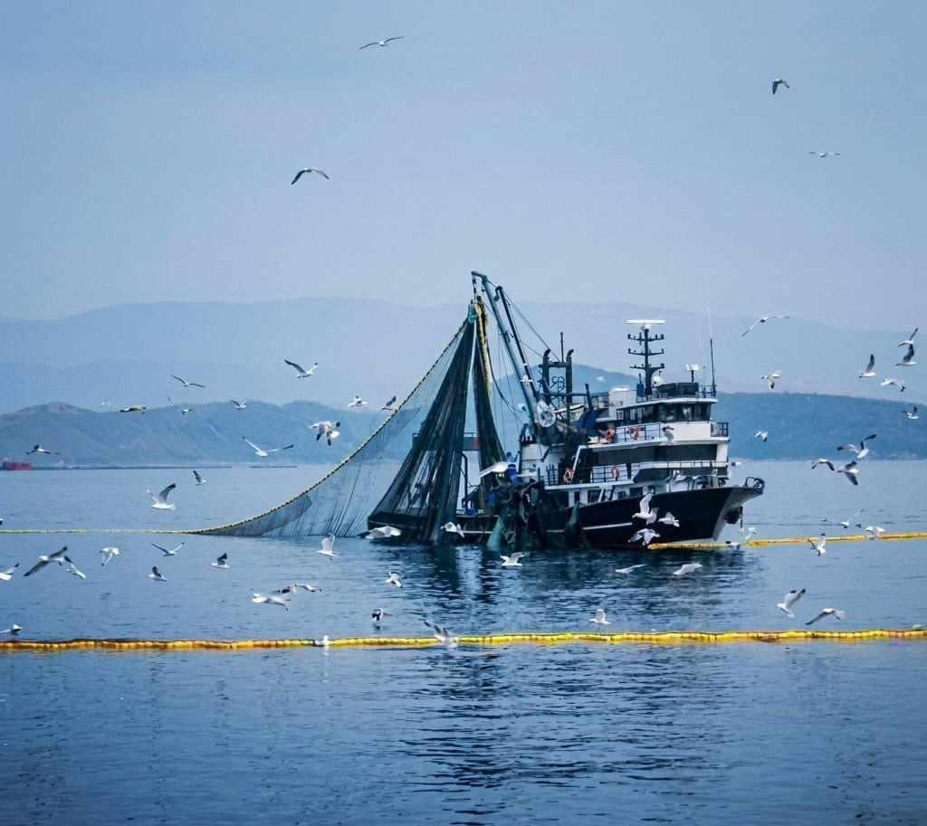 TARIM VE ORMAN BAKANLIĞI, DENİZLERDE SÜRDÜRÜLEBİLİR BALIKÇILIĞIN SAĞLANMASI AMACIYLA GIRGIR VE...