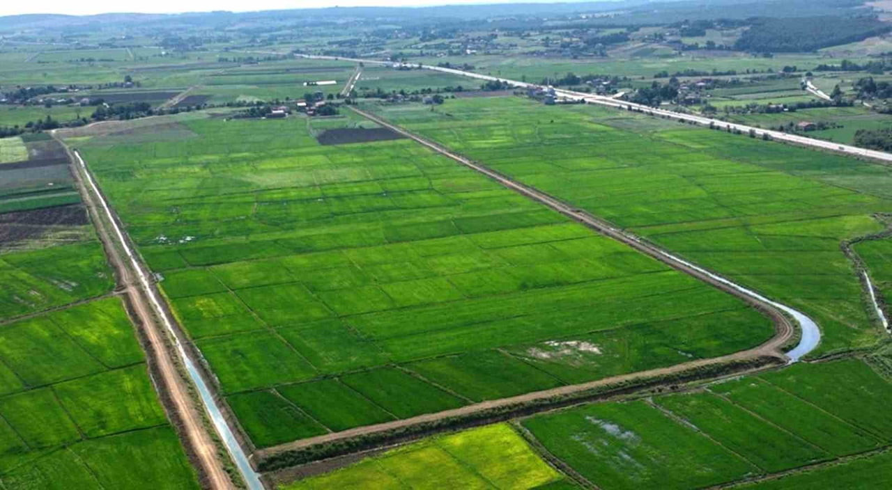 TARIM VE ORMAN BAKANLIĞI, SAMSUN’DA BOZULAN 16 BİN 895 M2 TARIMSAL ALAN İÇİN 48 ADET CEZAİ İŞLEM...