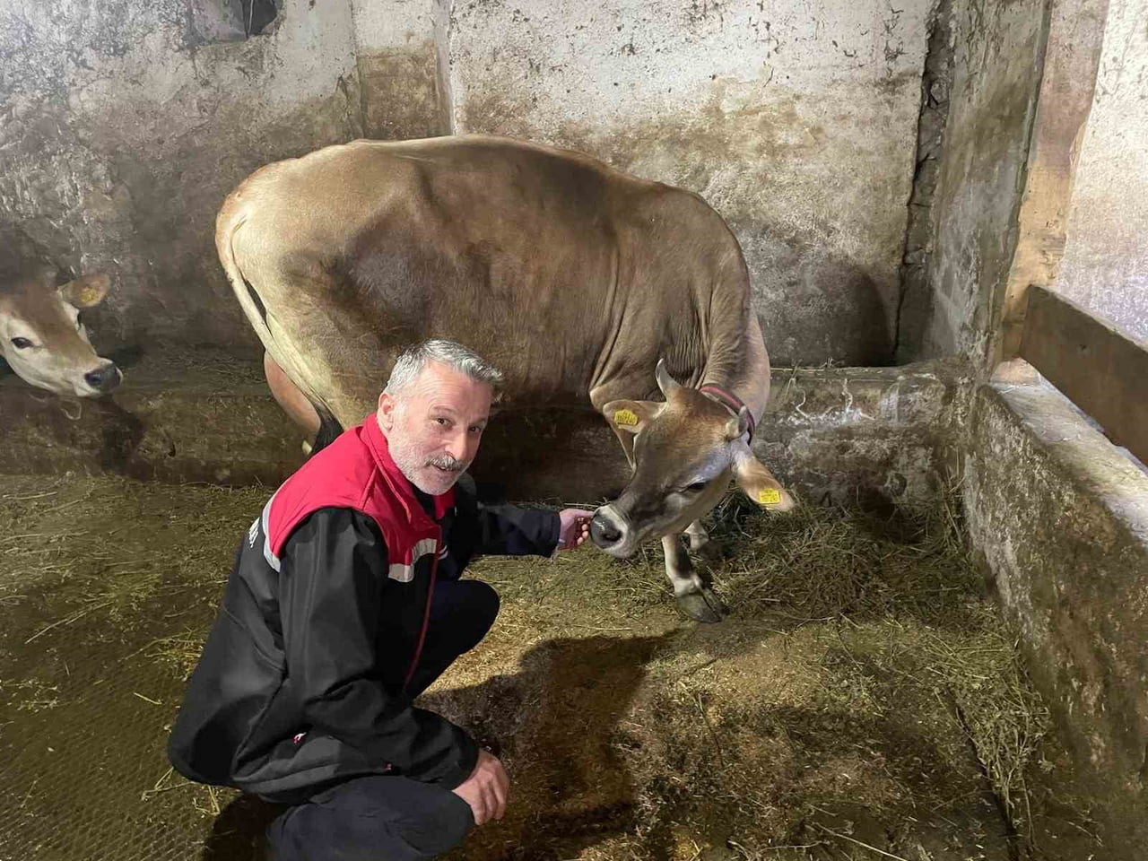 TARIM VE ORMAN BAKANLIĞI TARAFINDAN HAYVANCILIĞIN GELİŞTİRİLMESİ, DAMIZLIK HAYVAN SAYISININ...