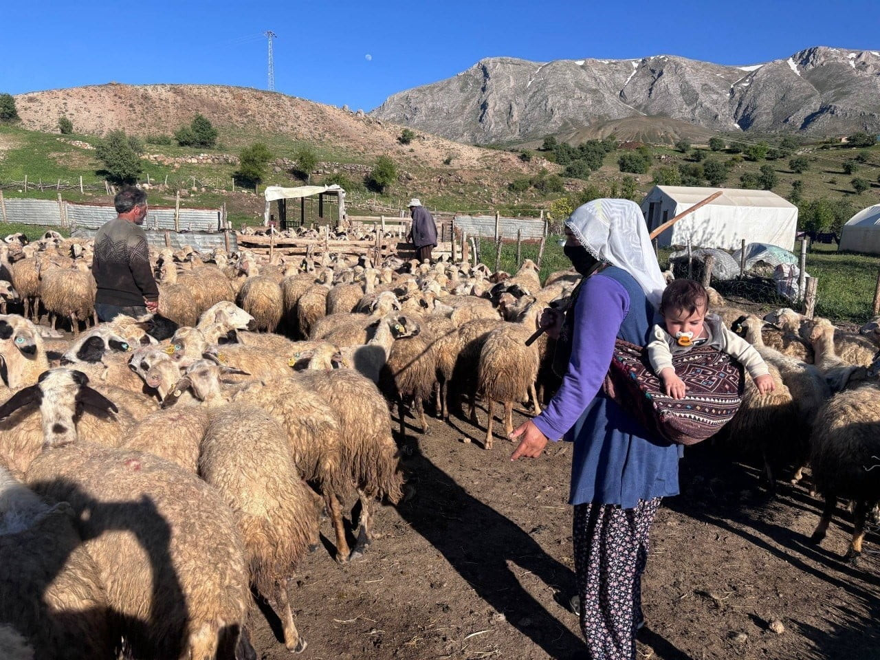 TARIM VE ORMAN BAKANLIĞINCA YÜRÜTÜLEN "KIRSALDA BEREKET KÜÇÜKBAŞA DESTEK PROJESİ" KAPSAMINDA HAK...