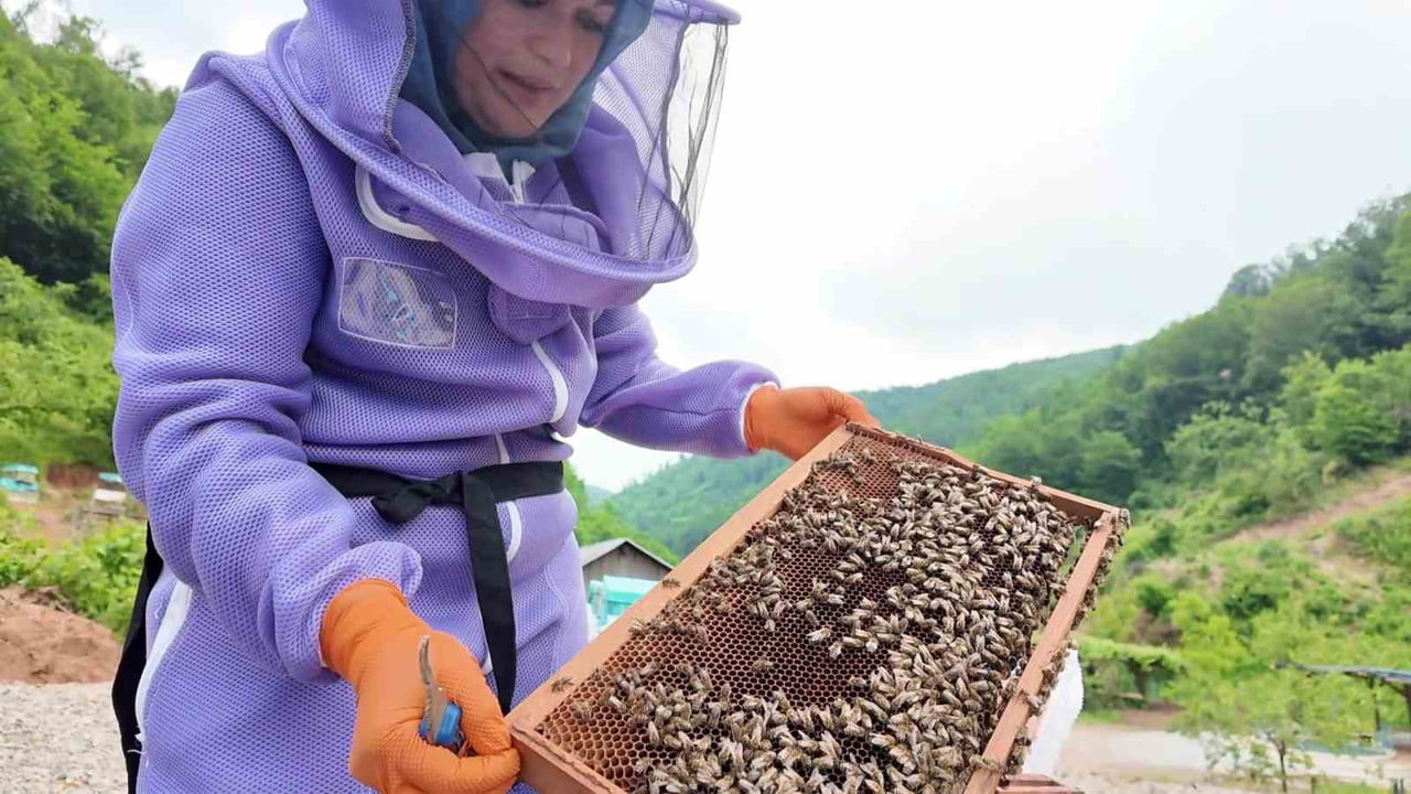 TARIM VE ORMAN BAKANLIĞININ "ANA DOKUNUŞU İLE ARI SÜTÜ DEĞERLENİYOR" PROJESİ KAPSAMINDA EĞİTİM...