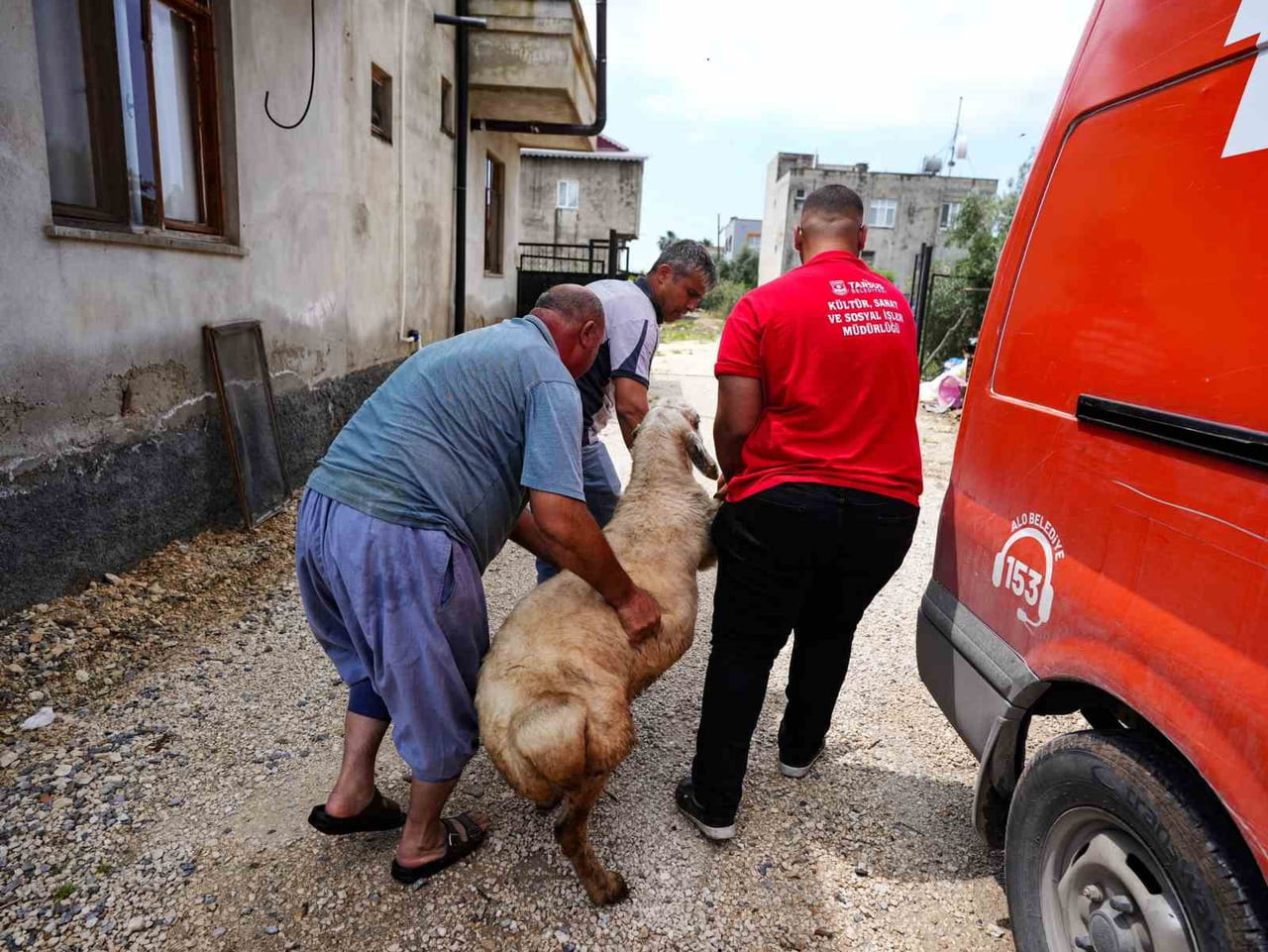 TARSUS BELEDİYESİ, KURBAN BAYRAMI ÖNCESİNDE SOSYAL DAYANIŞMA KAPSAMINDA ŞEHİT AİLELERİNE KURBAN...