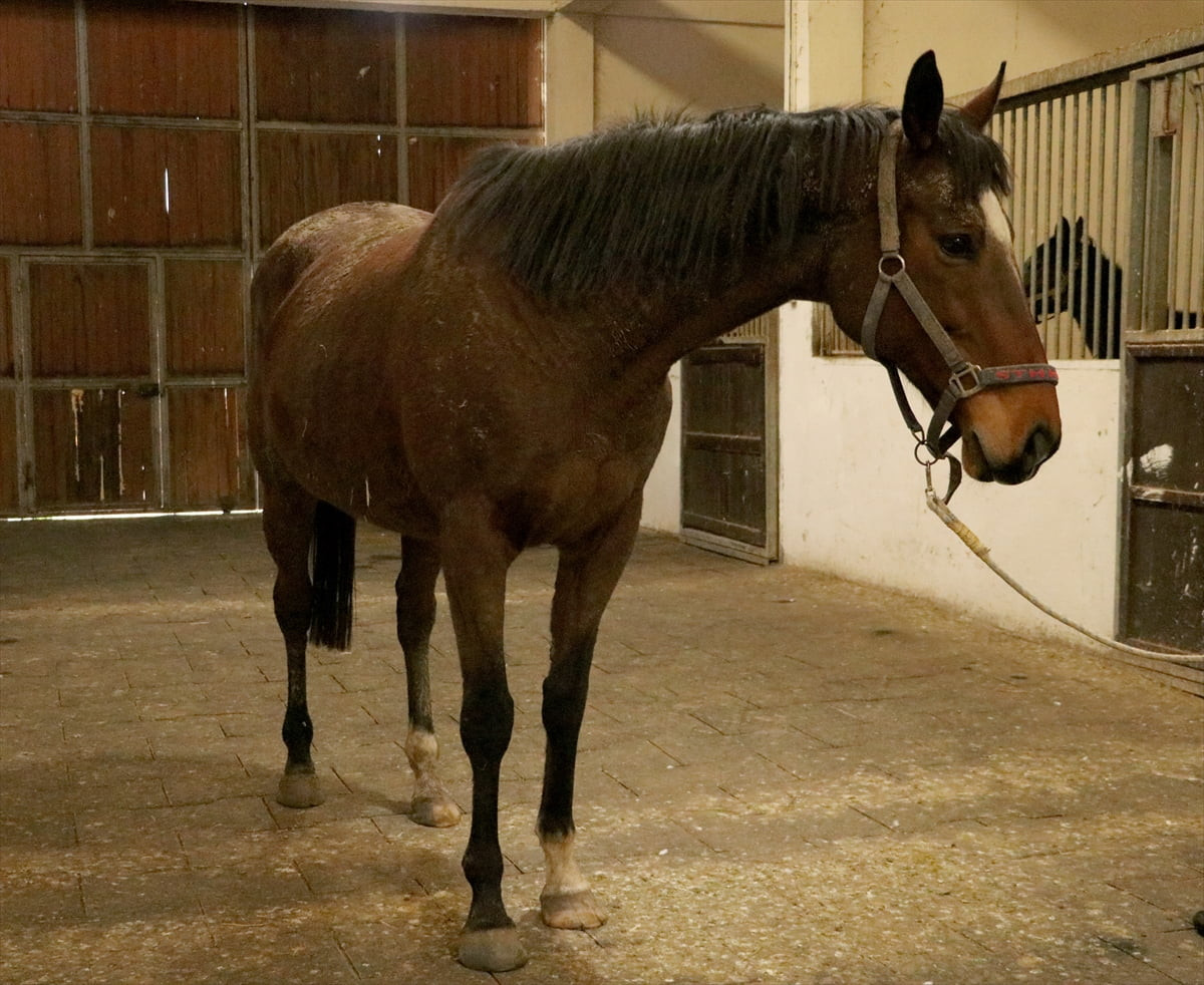 Tasarruf Mevduatı Sigorta Fonu (TMSF), İstanbul Büyükşehir Belediyesi'ne (İBB) yönelik soruşturma...
