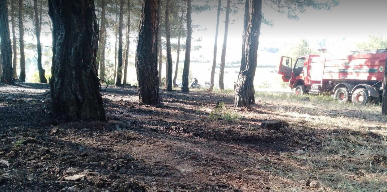 TAVŞANLI'DA ERKEN MÜDAHALE ORMANI KURTARDI