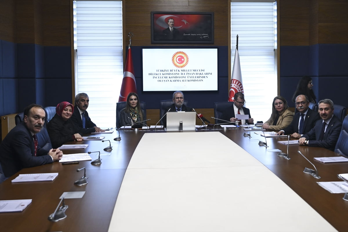 TBMM Dilekçe Komisyonu ile İnsan Haklarını İnceleme Komisyonu Üyelerinden Oluşan Karma Alt...