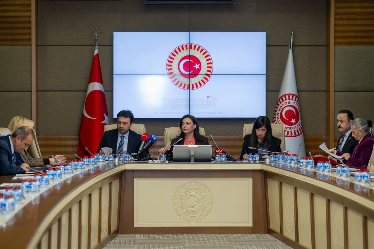 TBMM Suça Sürüklenen Çocuklara İlişkin Araştırma Komisyonu, AK Parti İstanbul Milletvekili...