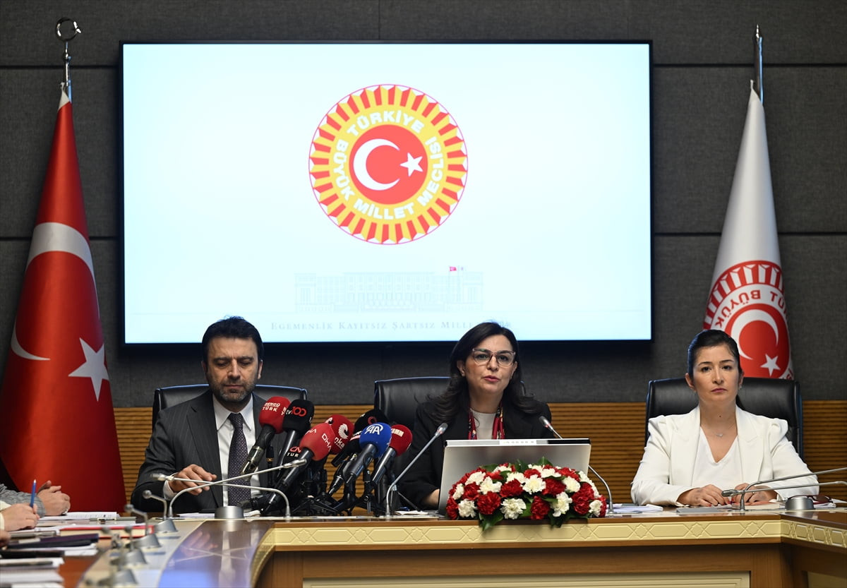 TBMM Suça Sürüklenen Çocuklara İlişkin Araştırma Komisyonu, AK Parti İstanbul Milletvekili...